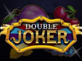 Double Joker screenshot